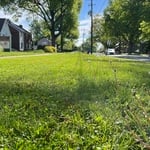 Church Mowing