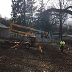 Project Photos