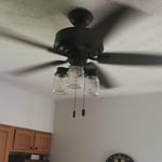 Ceiling fan