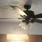 Ceiling fan
