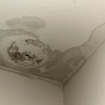 Photos of my work