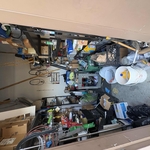 Before organized