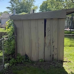 Shed Removal