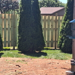 Shadow Box Fence