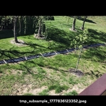 Silt Fence Removal