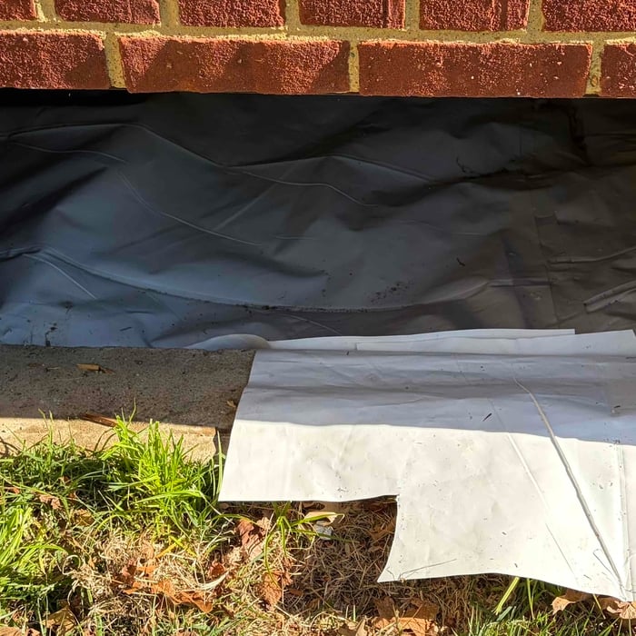 Custom Crawlspace door