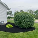 Mulch