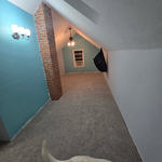 Paint and carpet