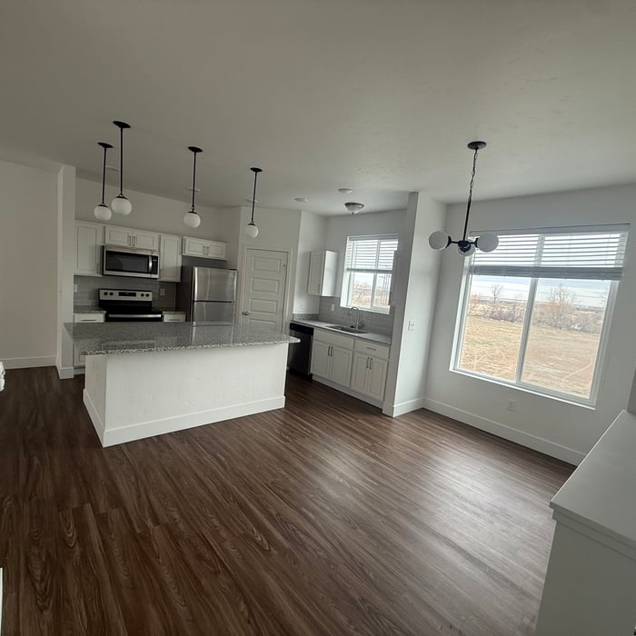 Move in Cleaning