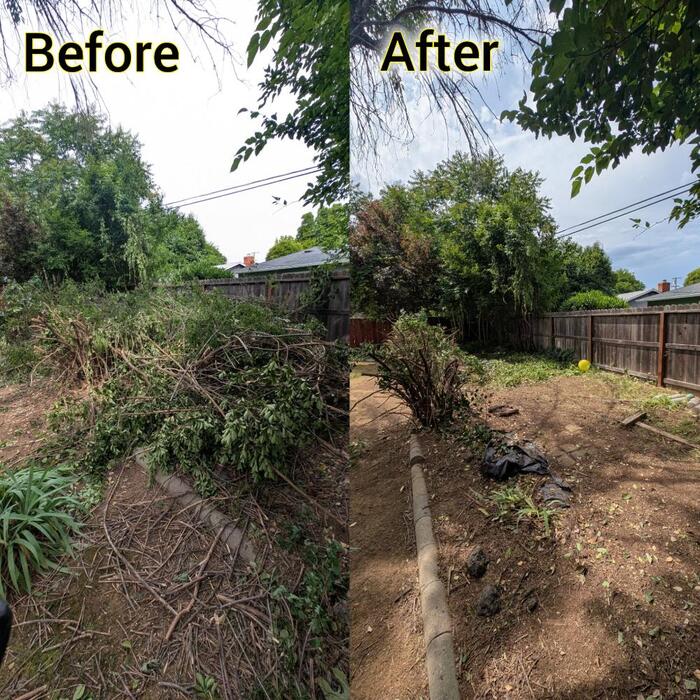 Large brush removal