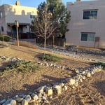 Clean yard trim trees