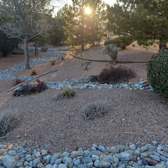Clean yard trim tres