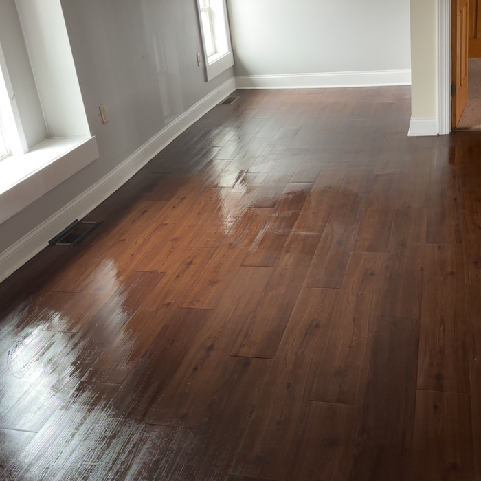 Move in/out cleaning
