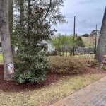 Flower Bed Cleanup