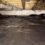 Mold Remediation Project