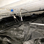 Mold Remediation Project