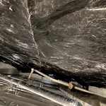 Mold Remediation Project