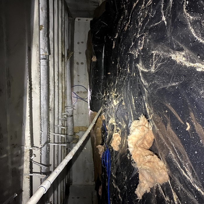 Mold Remediation Project