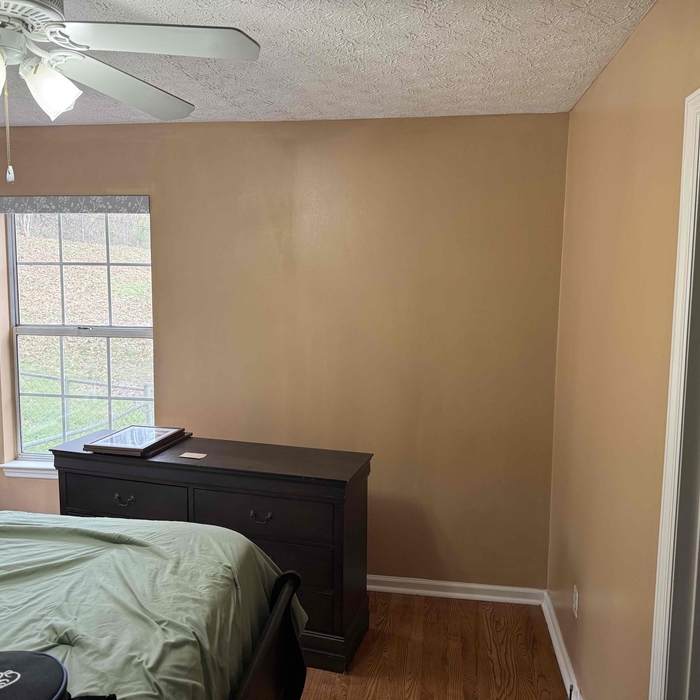 Interior Painting