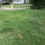 Lawn maintenance