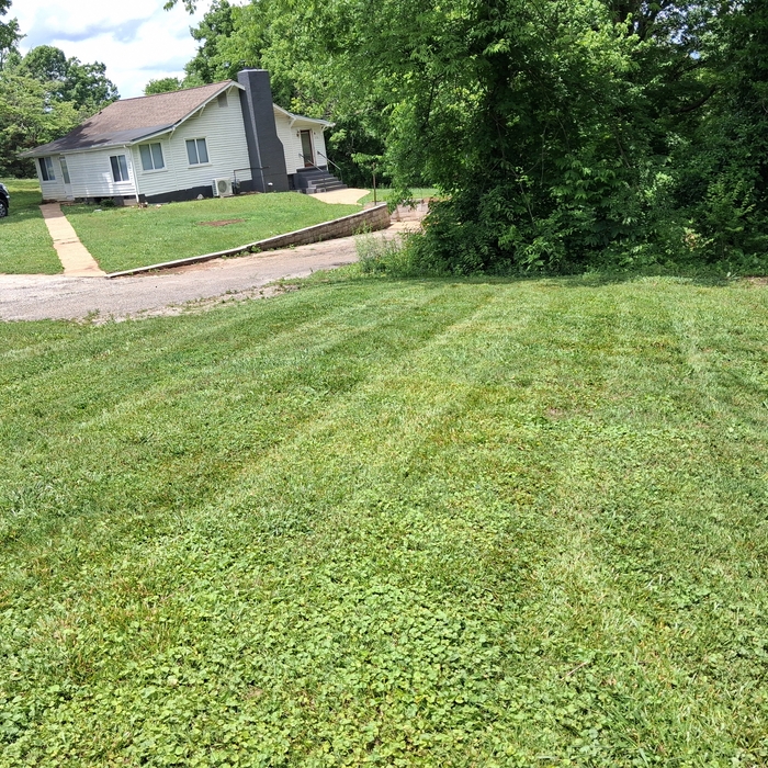 Lawn maintenance