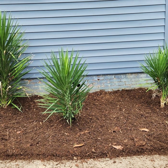 Landscaping Installation