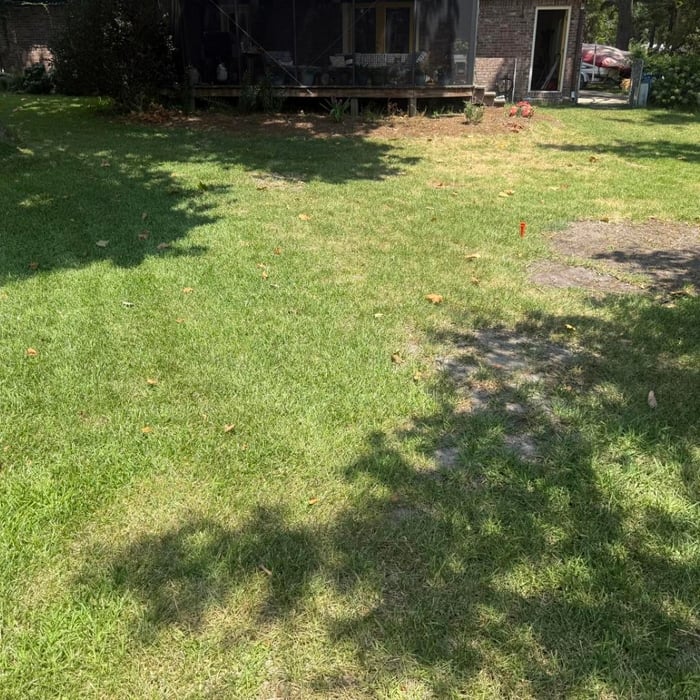 Landscape Carpentry