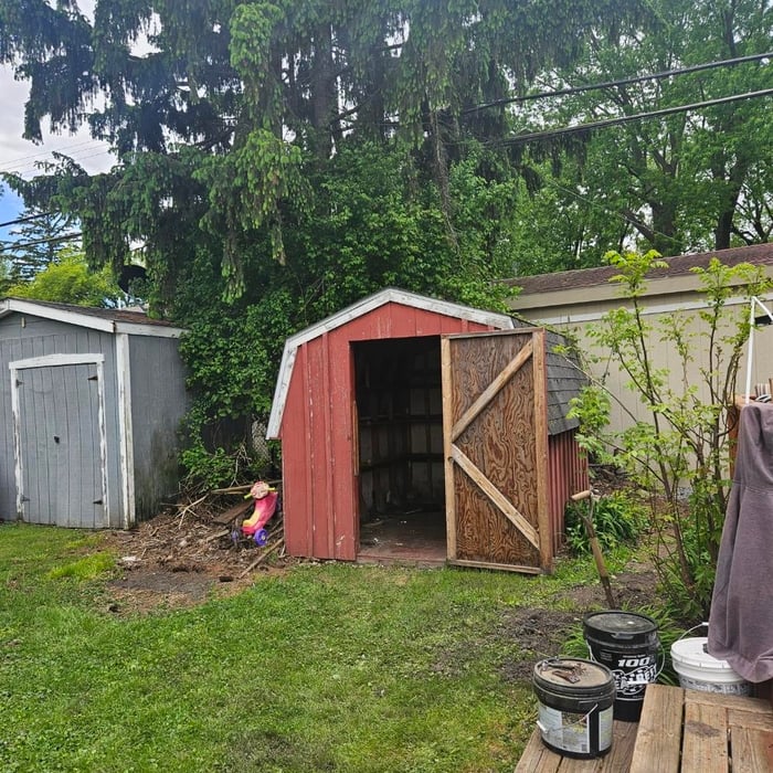 8x10 Shed removal