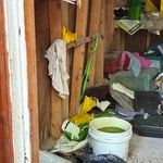 Junk removal