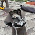 Dryer vent cleaning