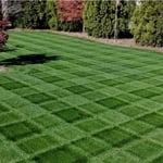 Landscaping lawn care