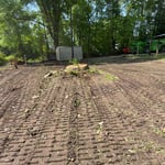 Tree removal