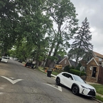 Tree Services