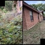 Backyard transformation