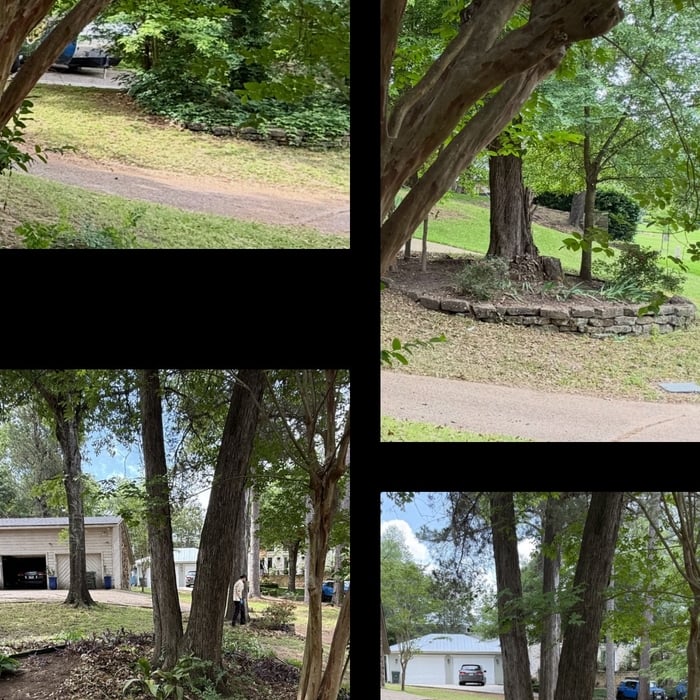 Flowerbed clean-up