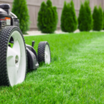 Lawn Care Services