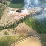 Brush Clearing