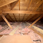 Attic assessment