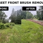 STUMP/ BRUSH REMOVAL