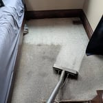 Carpet cleaning