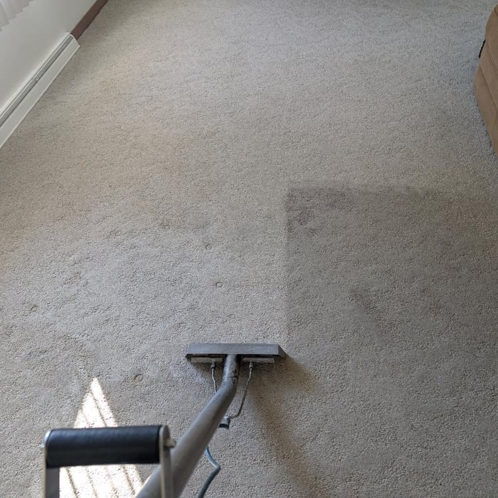 Carpet cleaning