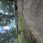 Abandoned yard