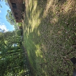 Abandoned yard