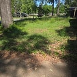 Abandoned yard