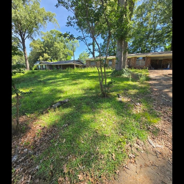 Abandoned yard