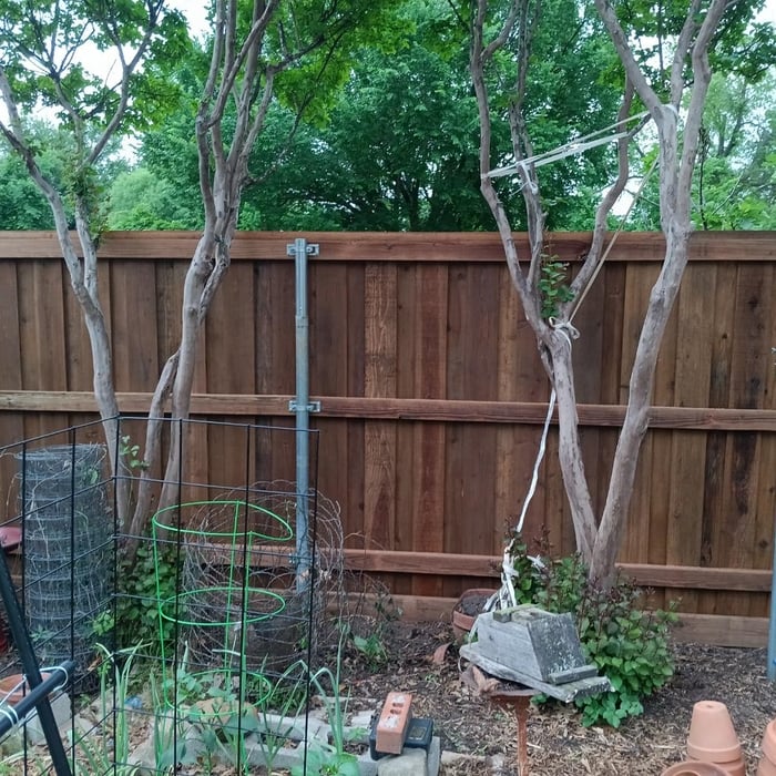 Fences