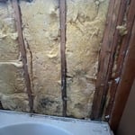 Mold demo