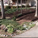 Landscaping Work