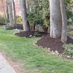 Landscaping project