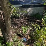 Junk Removal